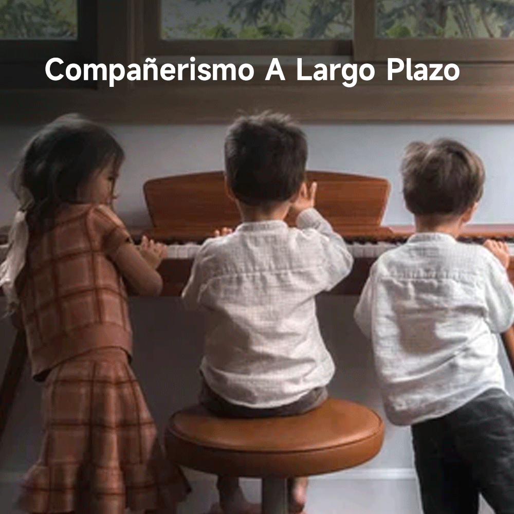 Desbloquear la longevidad de los pianos digitales