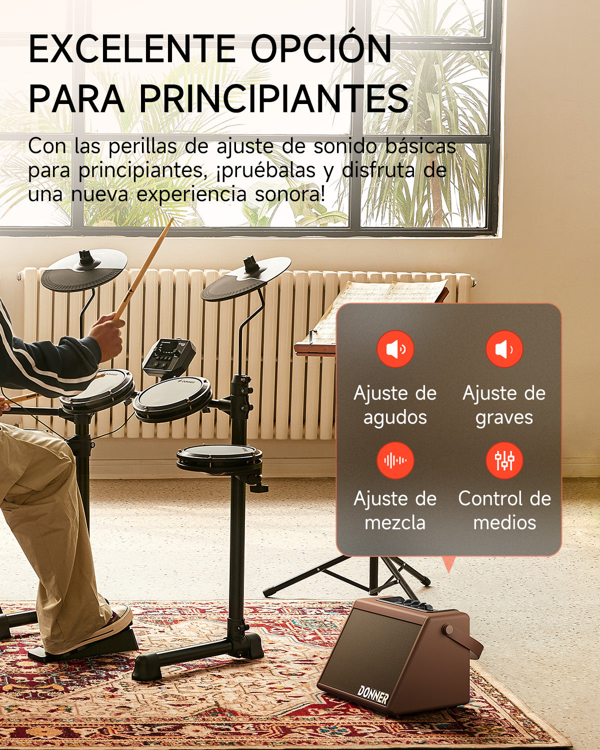 Donner DDA-20 Amplificador eléctrico para batería Marrón