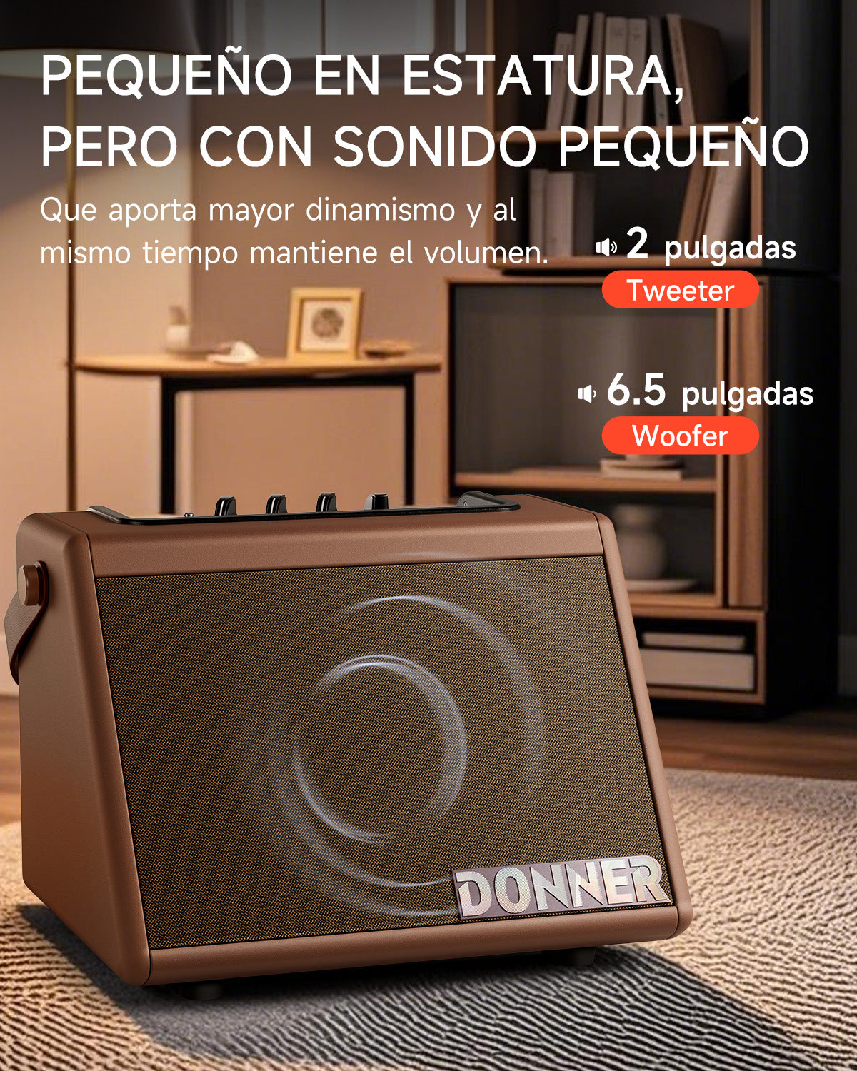 Donner DDA-20 Amplificador eléctrico para batería Marrón