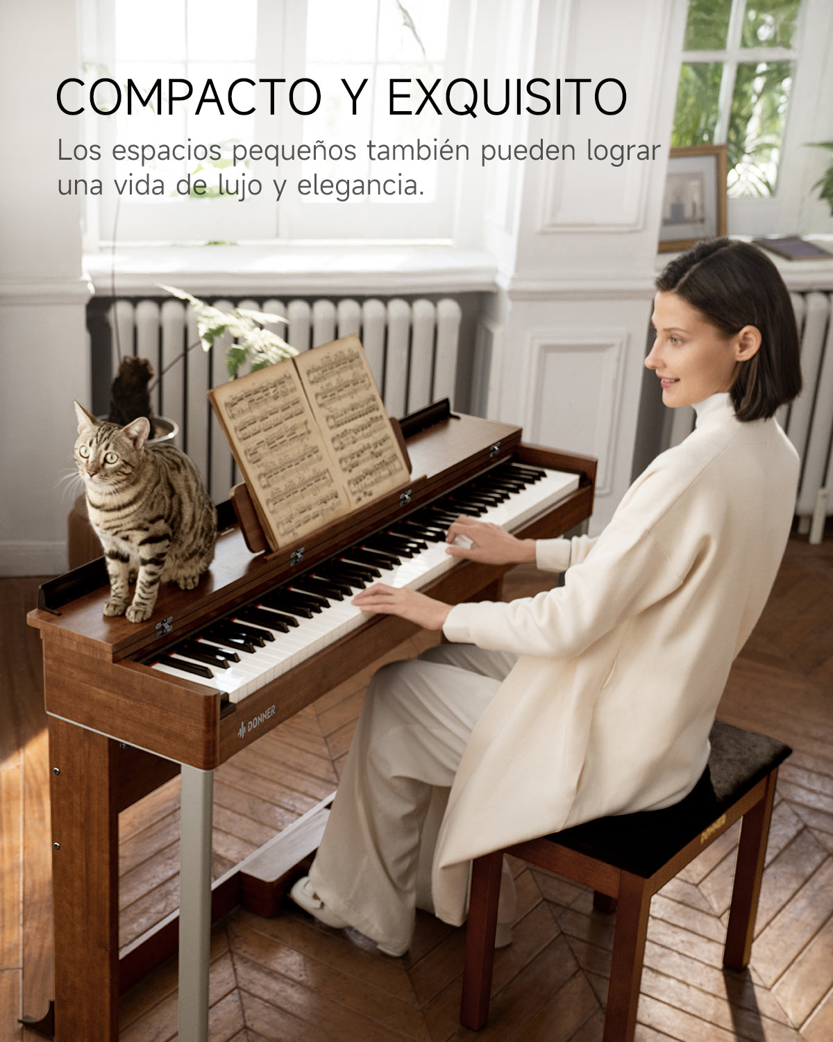 Donner DDP-200 MK2 Piano Digital Vertical