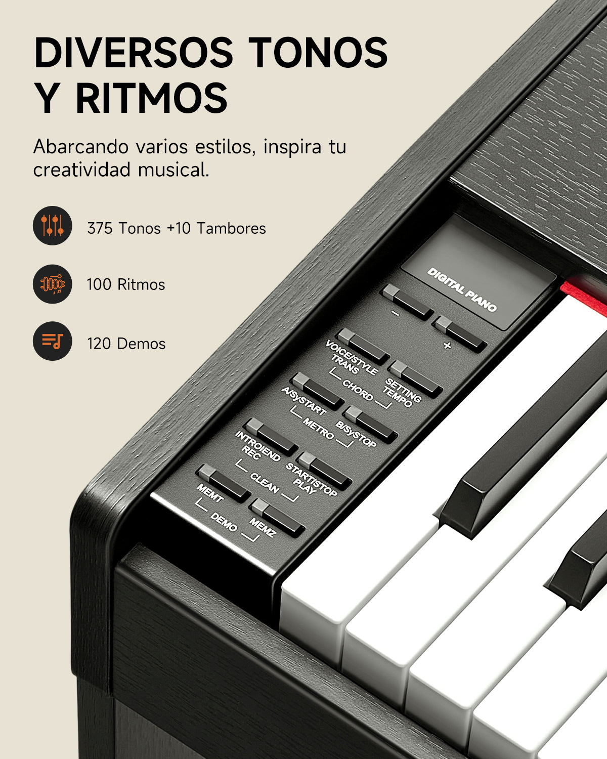 Donner DDP-50 Piano digital de 88 teclas contrapesadas