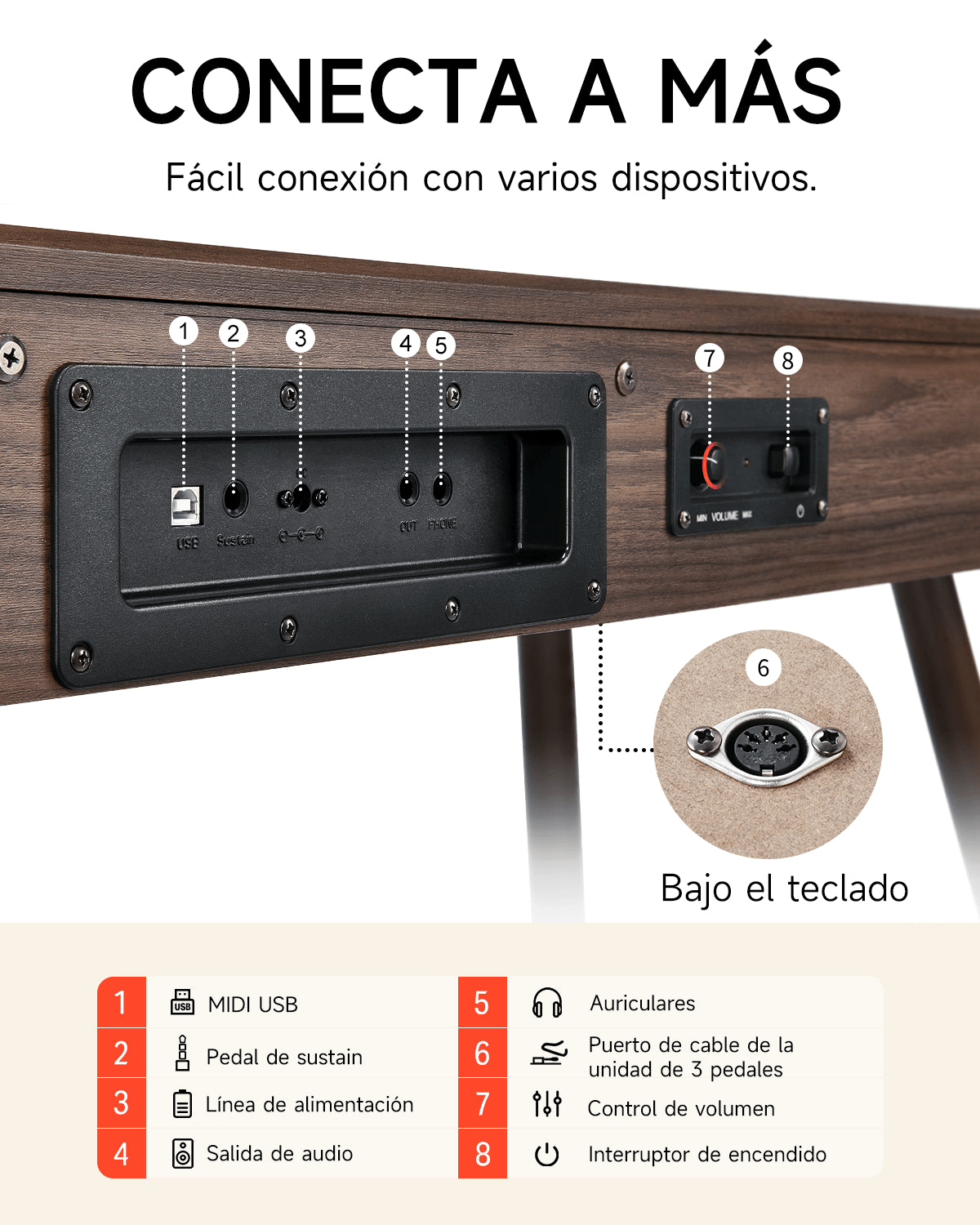 Donner DDP-80 Piano Digital de Peso Completo