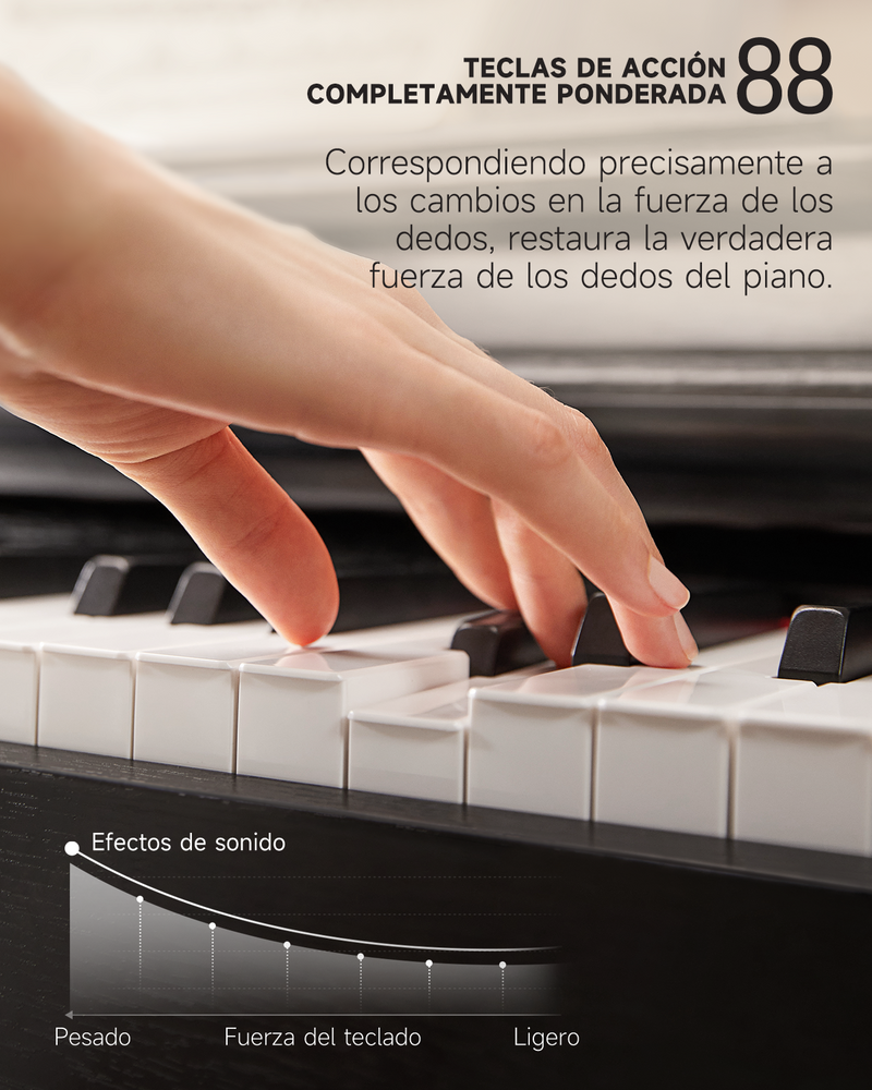 Donner DDP-100 Piano Digital Negro de 88 Teclas de Peso Completo para Principiantes