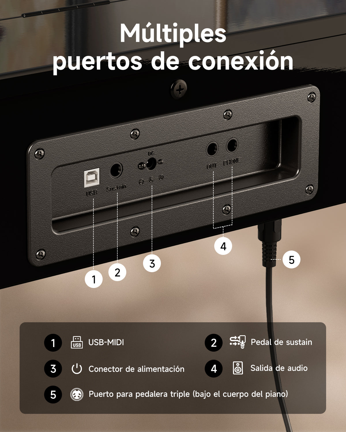Donner DDP-75 Piano Digital Vertical Con Tapa Abatible