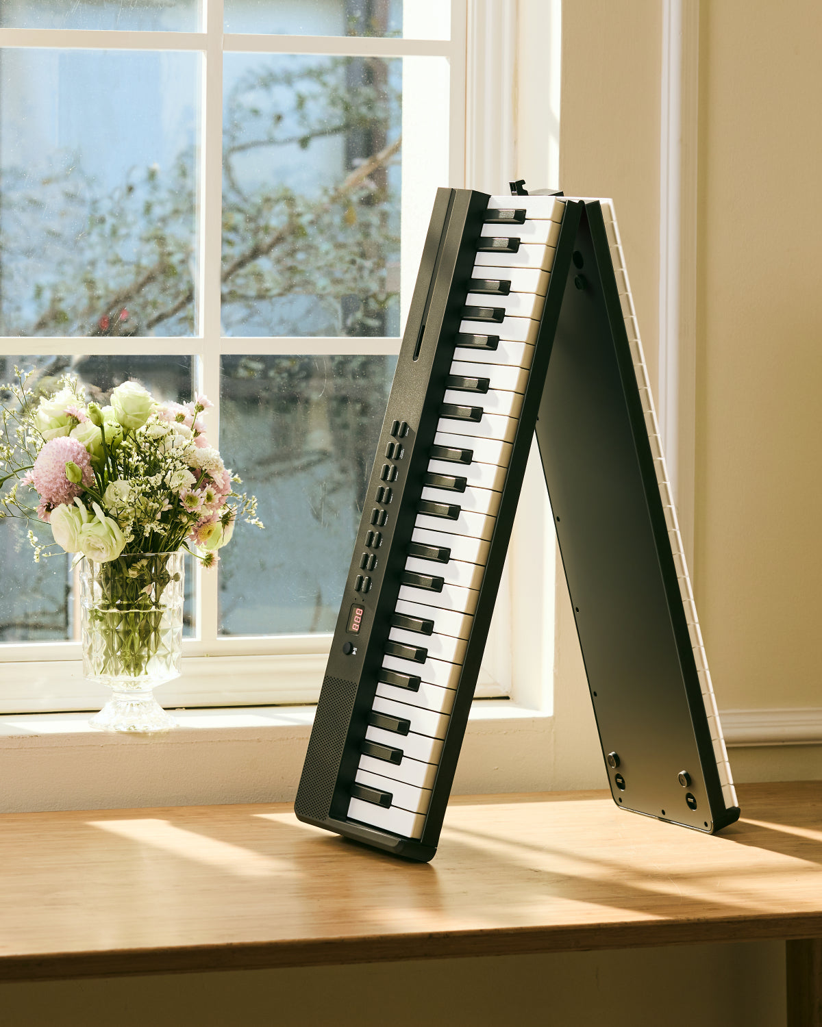 Donner DP-10 Piano digital electrónico plegable