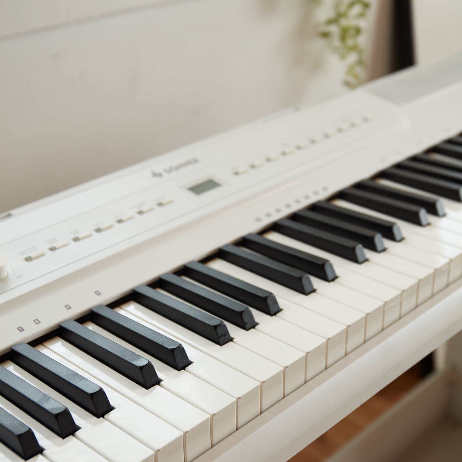 Donner SE-1 Piano Digital Portátil de 88 Teclas Pesadas con Stand
