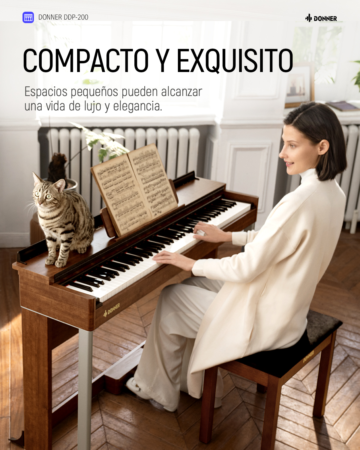 Donner DDP-200 Piano Vertical Digital de 88 Teclas Pesadas